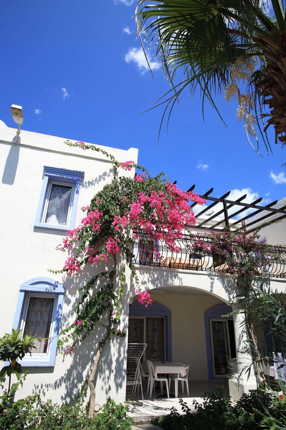 غومْبيت Club Paloma Apartment المظهر الخارجي الصورة